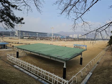 A Guide To Seoul Racecourse In Korea .